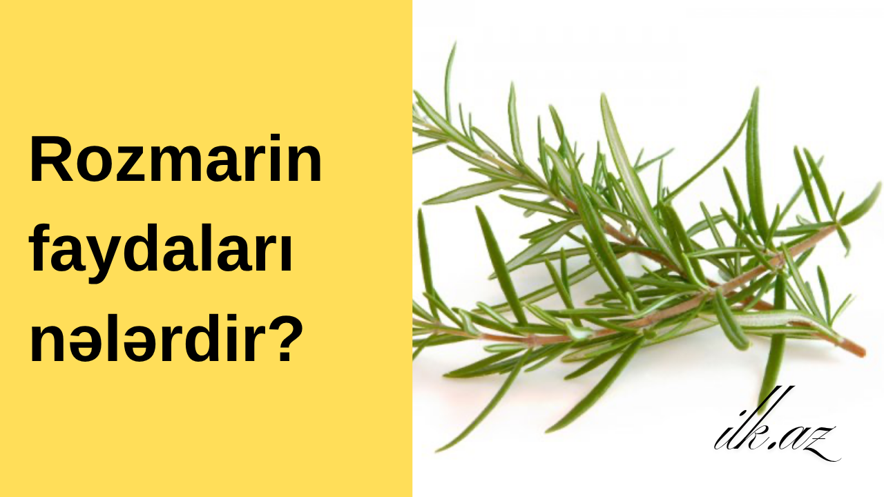 Rozmarin faydaları nələrdir? 🌱