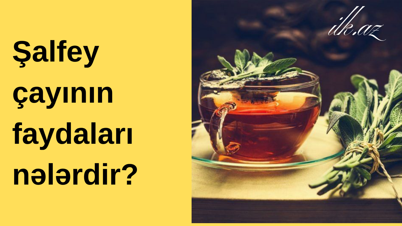 Şalfey çayının faydaları nələrdir? 🌱