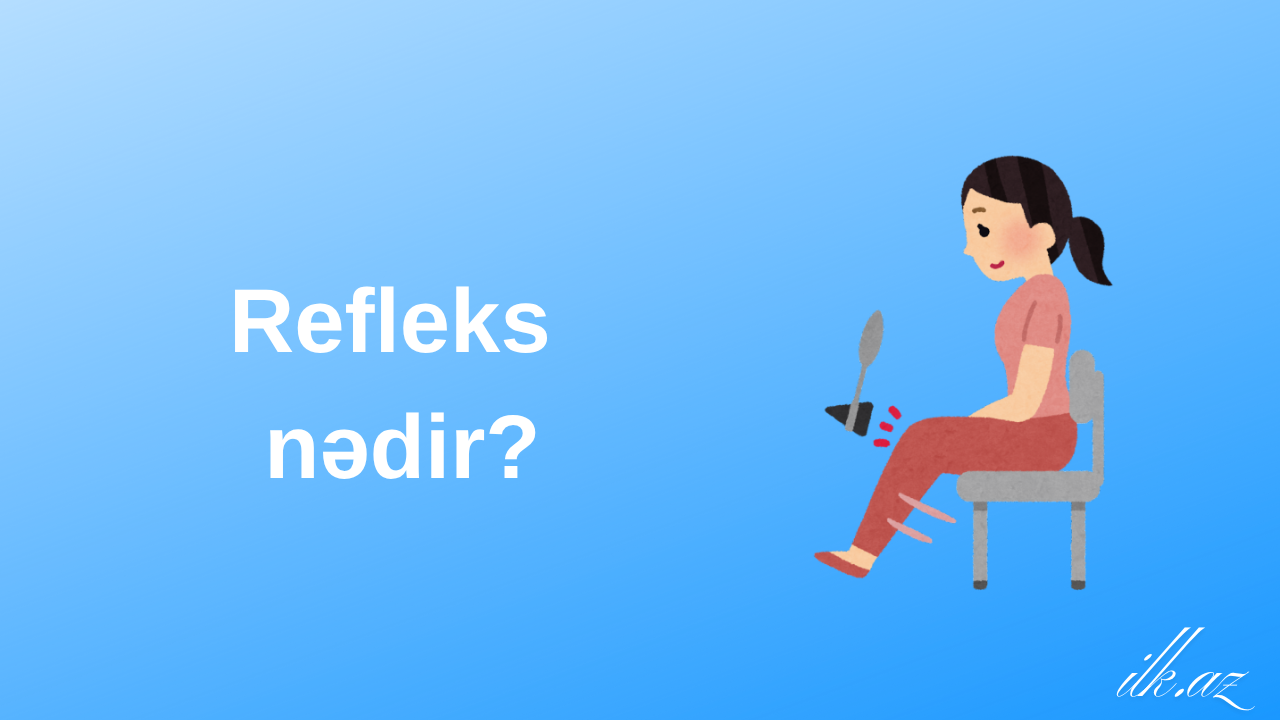 Refleks nədir?