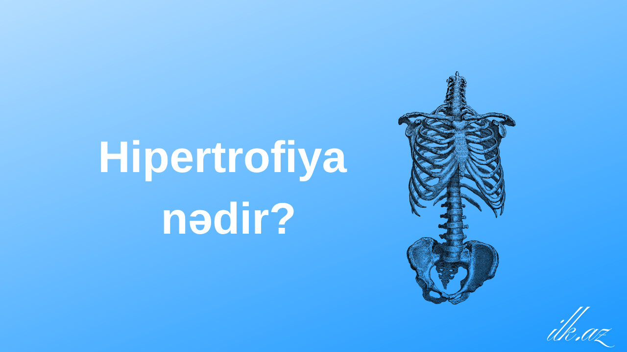 Hipertrofiya nədir?