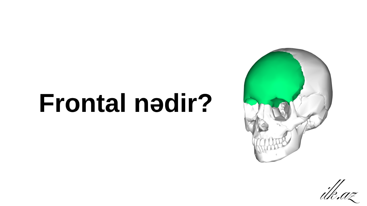 Frontal nədir?