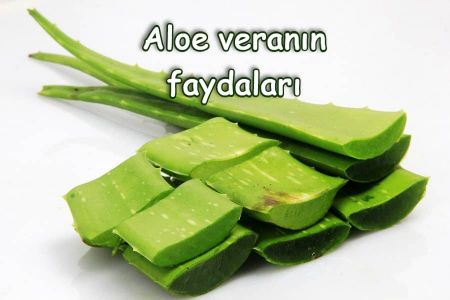 Aloe vera nədir? Necə istifadə olunur?