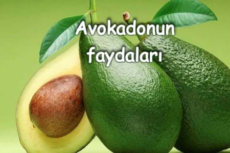 Avokado yağının insan orqanizminə 10 faydası