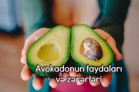 Avokadonun faydaları və zərərləri