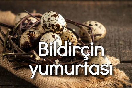 Bildirçin yumurtasının faydaları