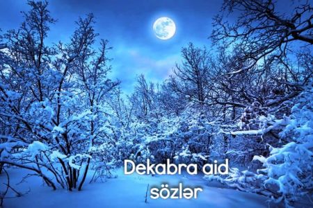 Xoş gəldin Dekabr - Dekabr ayına aid aid sözlər