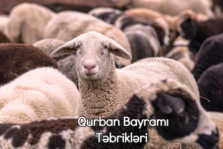 Ən gözəl Qurban Bayramı sözləri - Qurban Bayramı Təbrikləri 2023