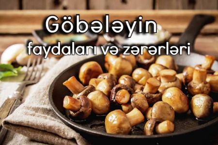 Göbələk neçə kaloridir? Göbələyin faydaları və zərərləri