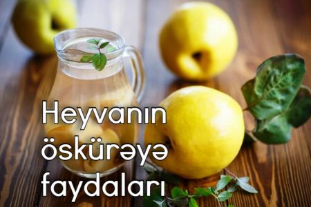 Heyvadan öskürək əleyhinə belə istifadə edin