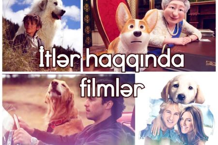 İtlər haqqında çəkilmiş ən maraqlı filmlər