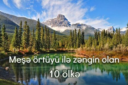 Meşə örtüyü ilə zəngin olan 10 ölkə