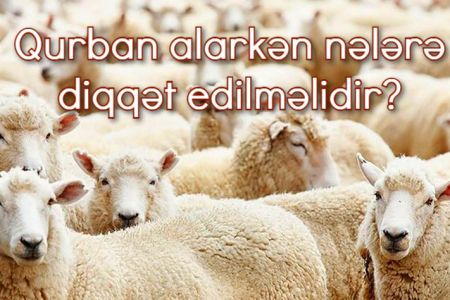 Qurban alarkən nələrə diqqət edilməlidir?