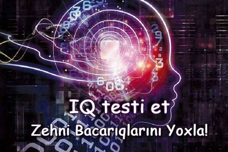 Sadəcə zəkasına güvənən insanlar tərəfindən həll edilən ən yaxşı IQ testi