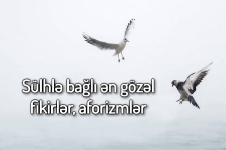 Sülhlə bağlı ən gözəl fikirlər, aforizmlər