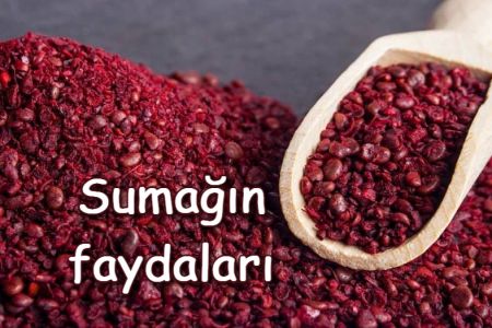 Xərçəng hüceyrələrini yox edən sumağın faydaları