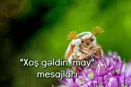 Xoş gəldin, may mesajları