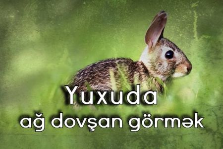 Yuxuda ağ dovşan görməyin yuxuyozması