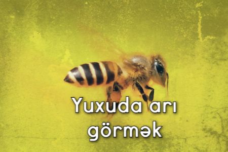 Yuxuda arı görməyin yuxuyozması