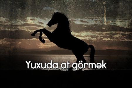 Yuxuda at görməyin yuxuyozması