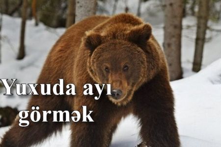 Yuxuda ayı görməyin yuxuyozması