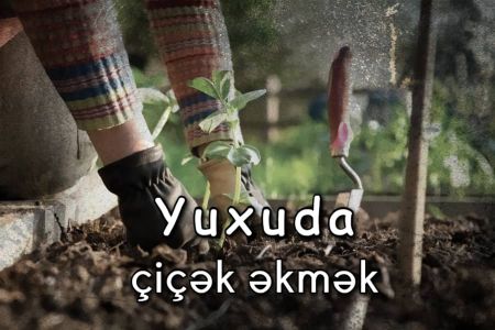 Yuxuda çiçək əkmək nə anlama gəlir?