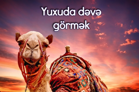 Yuxuda dəvə görməyin yuxuyozması