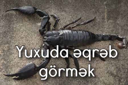 Yuxuda əqrəb görməyin yuxuyozması