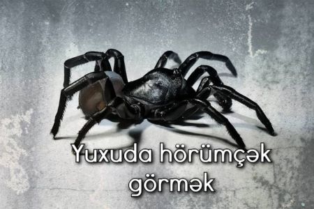 Yuxuda hörümçək görməyin yuxuyozması