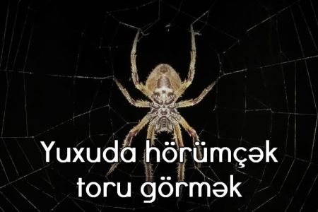 Yuxuda hörümçək toru görmək