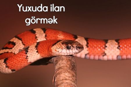 Yuxuda ilan görməyin yuxuyozması