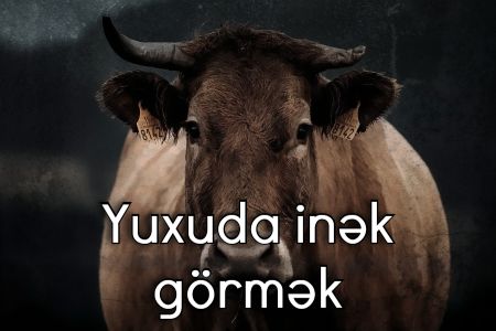 Yuxuda inək görməyin yuxuyozması