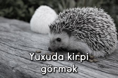 Yuxuda kirpi görmək nə anlama gəlir?