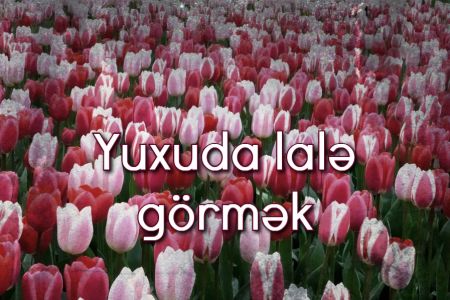 Yuxuda lalə görmək nə anlama gəlir?