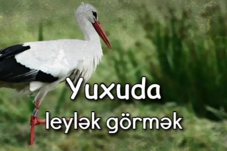 Yuxuda leylək görməyin yuxuyozması