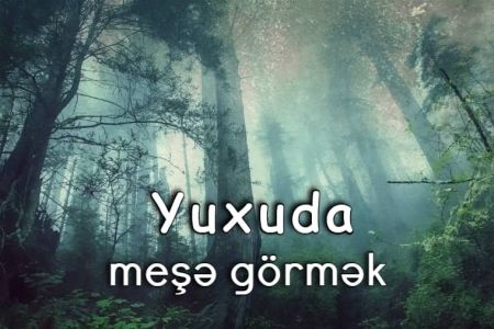 Yuxuda meşə görməyin yuxuyozması