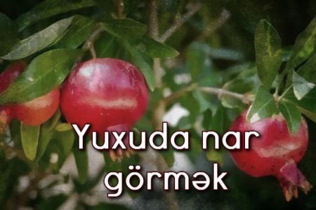 Yuxuda nar görməyin yuxuyozması