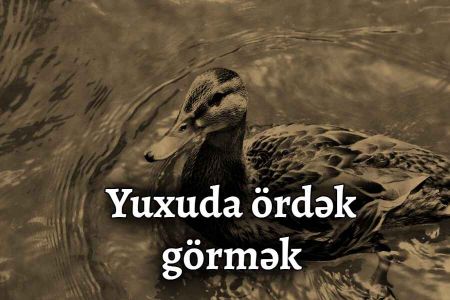 Yuxuda ördək görmək