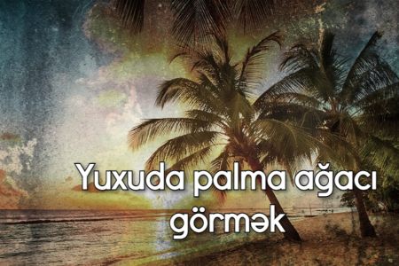 Yuxuda palma ağacı görmək nə deməkdir?