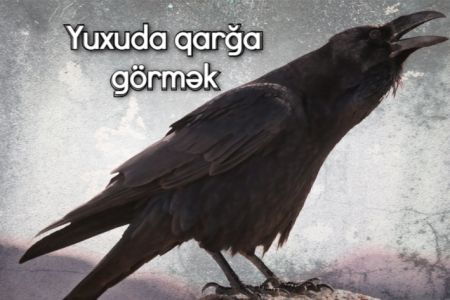 Yuxuda qarğa görməyin yuxuyozması