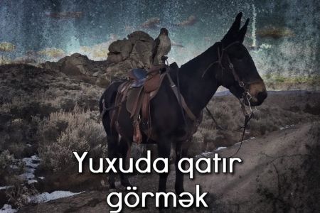 Yuxuda qatır görməyin yuxuyozması