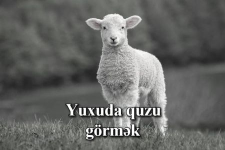 Yuxuda quzu görmək nə anlama gəlir?