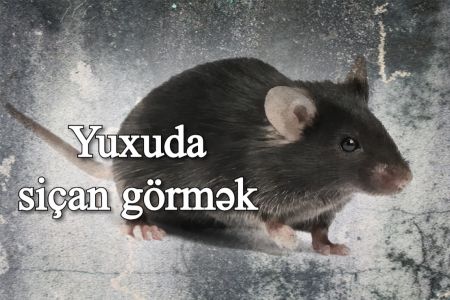 Yuxuda siçan görməyin yuxuyozması