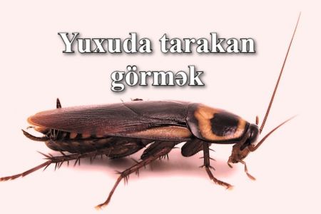 Yuxuda tarakan görməyin yuxuyozması