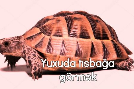 Yuxuda tısbağa görməyin yuxuyozması