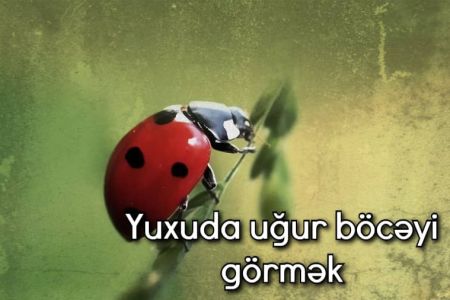 Yuxuda uğur böcəyi görməyin yuxuyozması