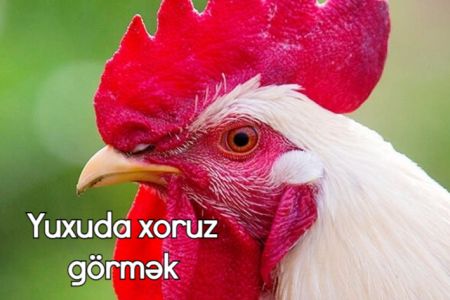 Yuxuda xoruz görmək nə anlama gəlir?