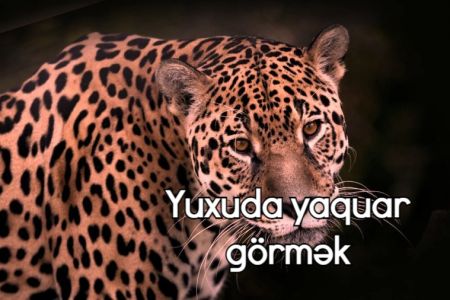 Yuxuda yaquar görməyin yuxuyozması