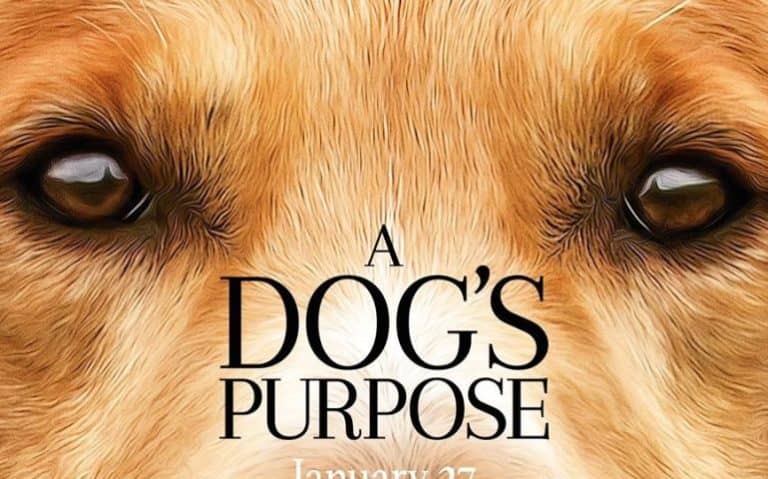 A Dog’s Purpose