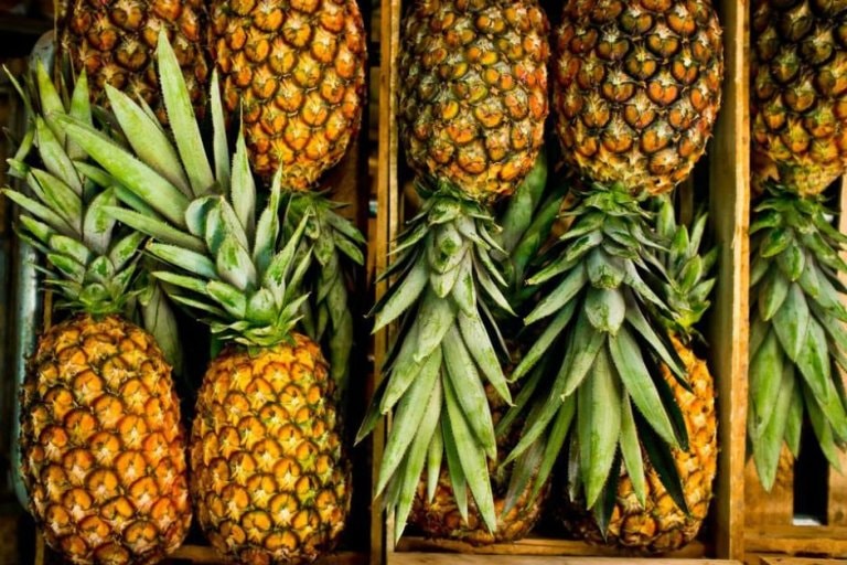 Ananas