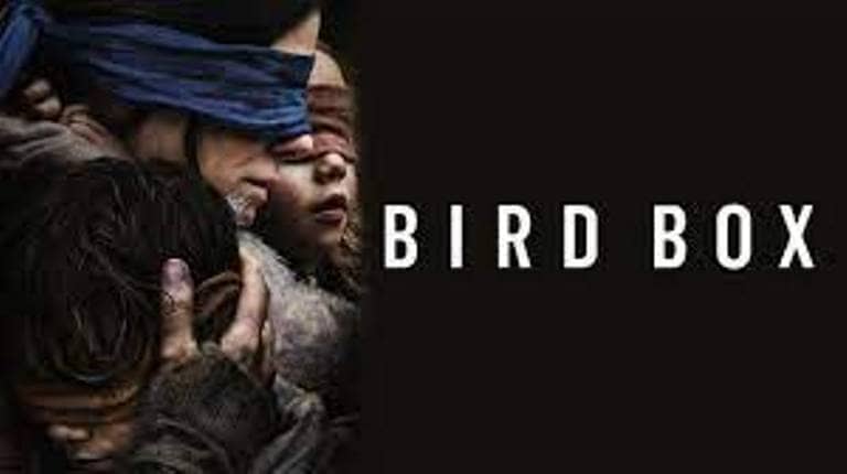 Bird Box